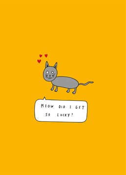 If you and your partner are big cat people, tell them how purr-fect they are for you with this cute Valentine's design by Scribbler.