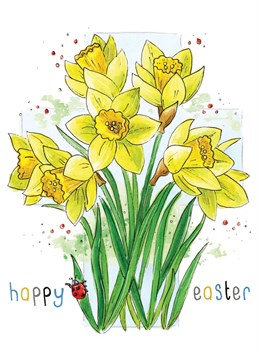 Send your well wishes for the celebration of Easter and the start of Spring with this beautiful water colour illustration of springtime daffodils