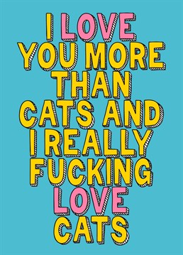 Send your loved one this exclamation of love, to show them you love them even more than cats - and you really f*king love those kitties! Perfect to celebrate on Valentine's Day, your anniversary or even birthdays.