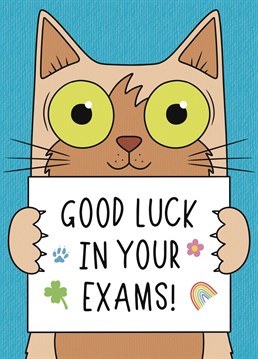 Send some love and luck with this cute kitty card, to wish your loved one well with their exams this year.