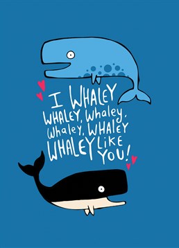 Sometimes it's hard to tell people how you feel so, say it with a Whale And Bird card.