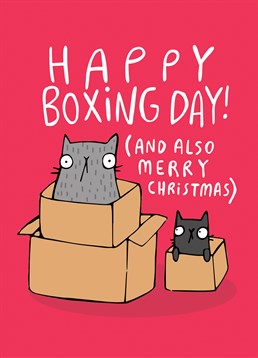 Make sure you wish your lovely cats a Happy Boxing Day with this silly Whale And Bird Christmas card.