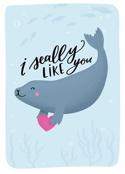 This is the sealiest Anniversary card we've ever seen! Whale And Bird had created the cutest Valentine's Anniversary card ever.