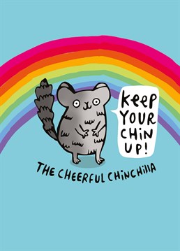 Chinchillas and rainbows equal positivity vibes. Send it their way with this Whale & Bird thinking of you card.