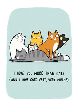 The ultimate compliment! Tell your loved one how much you care with this cute cat Anniversary card by Whale & Bird!