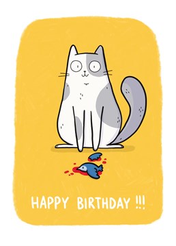 Quirky illustrated cat themed Birthday card from Whale & Bird.