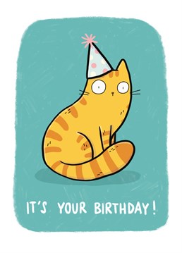 This cat clearly loves wearing it's party hat. The perfect Birthday card for the cat lover in your life. Birthday card from Whale & Bird.