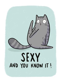 Send this cheeky grey cat Anniversary card to your favourite feline fanatic! Perfect for any occasion, birthdays, Valentine's day, anniversaries or simply just because. Design by Whale & Bird.