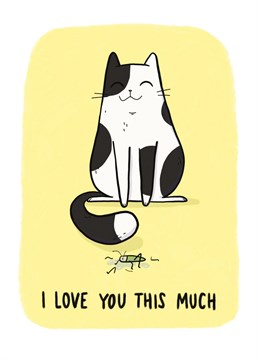 I love you this much, as much as a dead cricket! The language of love, cat love. Send this funny cat Anniversary card to any cat owner and you'll be speaking a language they understand! Design by Whale & Bird.