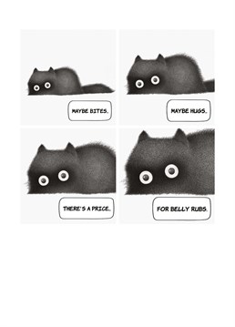 Every cat owner will understand the perils of a cat belly rub! Design by Whale & Bird.