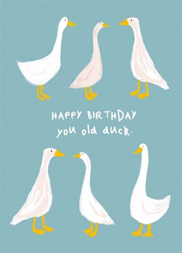 Introducing our quack-tastic greeting card featuring ducks, the perfect way to add some feathered fun to your greetings!  Order your duck-tastic greeting card today and give your recipient a reason to smile (and maybe even quack)! From Whale & Bird.