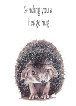A cute painting of a hedge hug to send someone some joy and compassion when you may not be able to see them, or a a daily reminder for them to display.