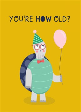 Send your loved one your best wishes with this funny, modern and and slightly cheeky illustrated turtle birthday card with the words "You're HOW old?!" - perfect for anyone with a good sense of humour on their birthday!
