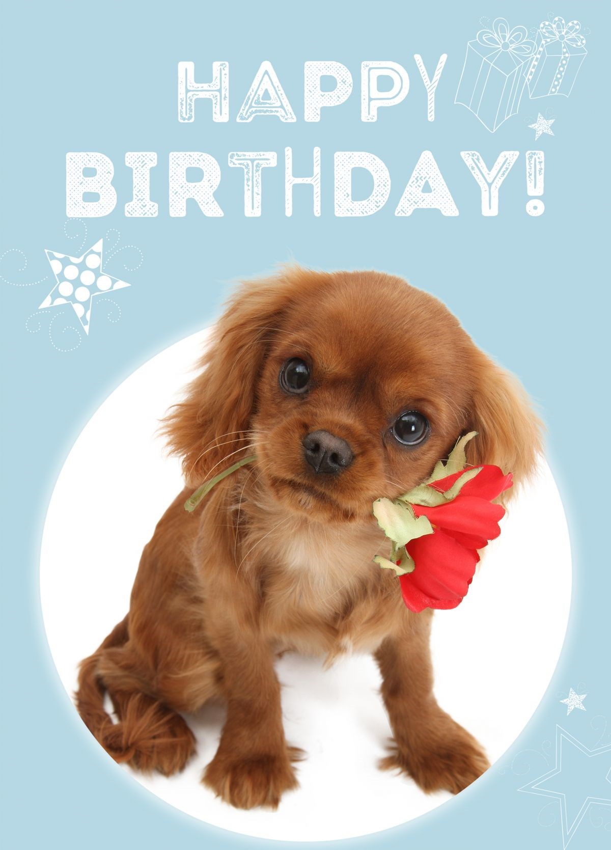 Puppy Love Birthday Card | Scribbler