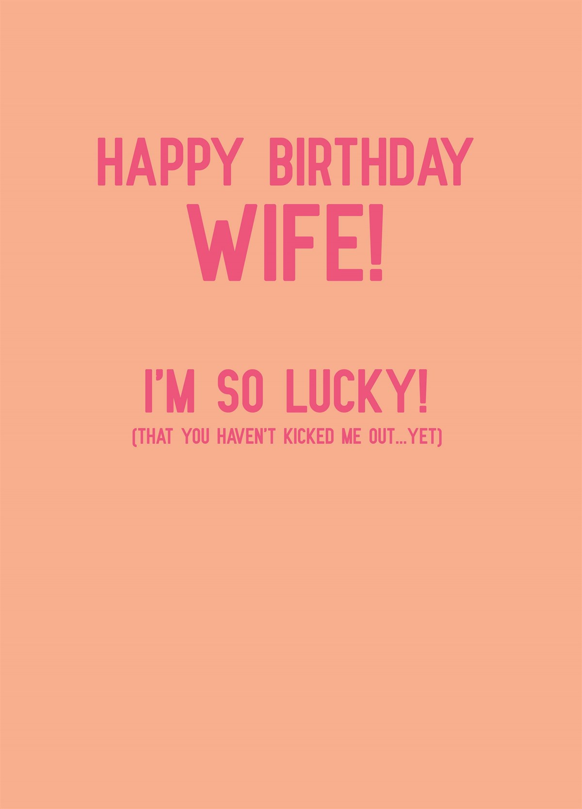 Details about   Birthday Card For Wife Humour Card for Wife Funny Funny Birthday Cards 