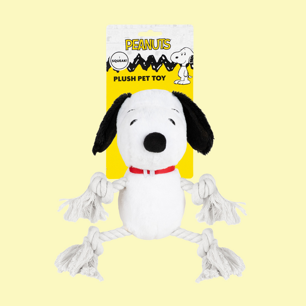 Peanuts Plush Rope Arms-Legs Dog Toy