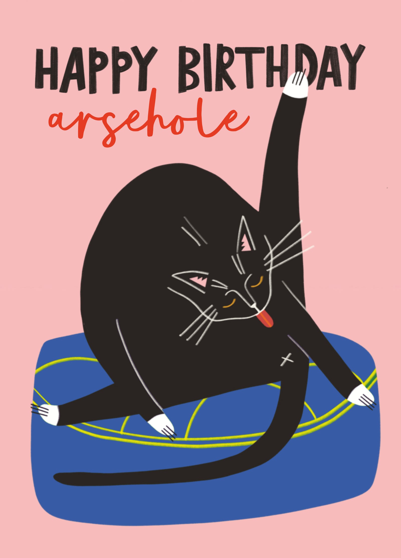 Arsehole Cat Birthday Card