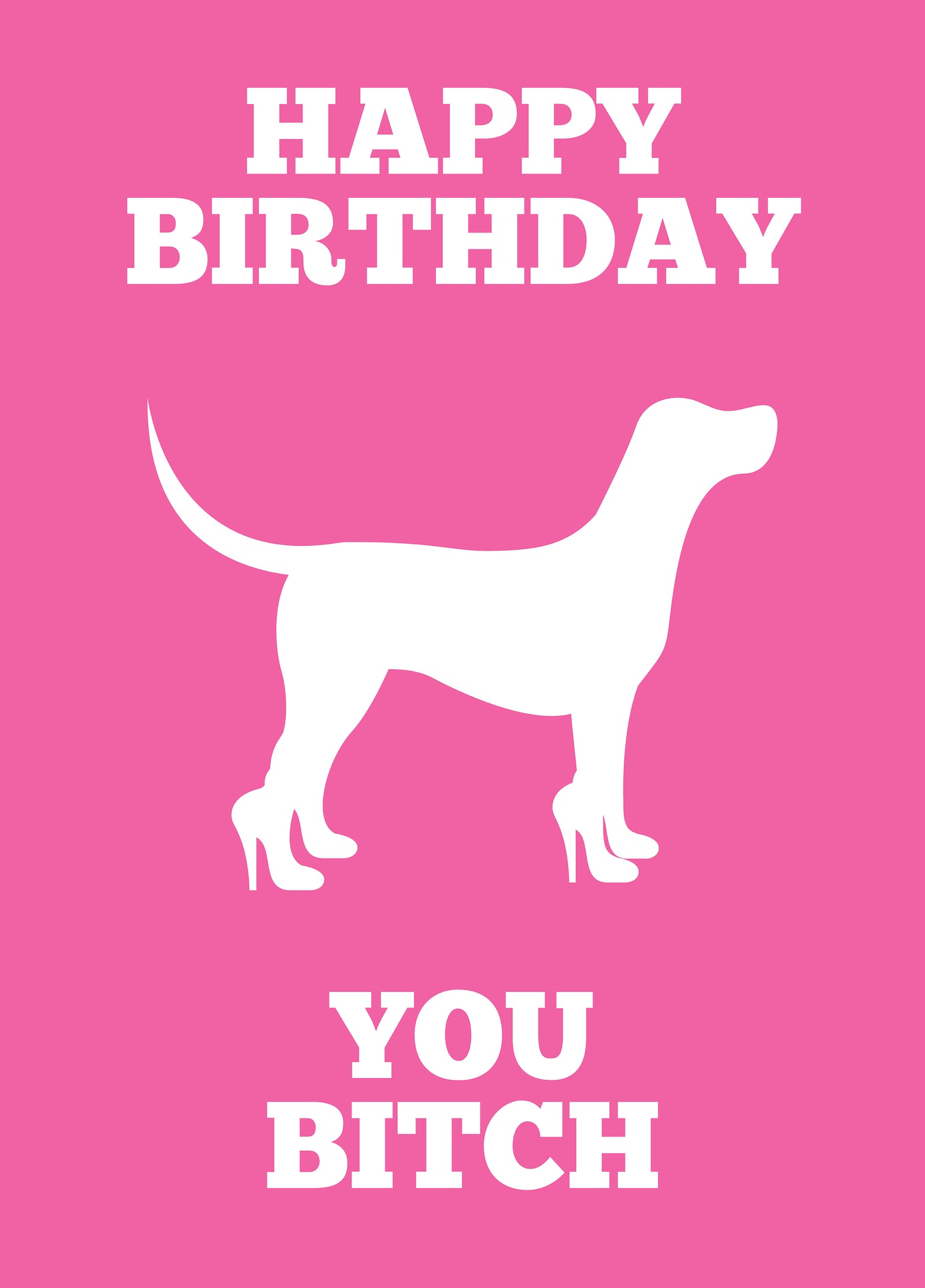Happy Birthday You Bitch Card