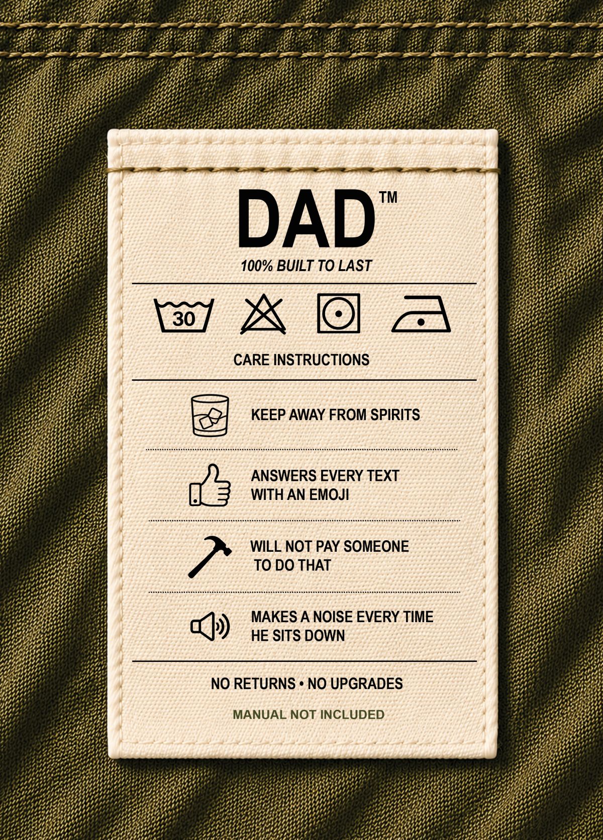 Dad Care Instructions Funny Birthday Card