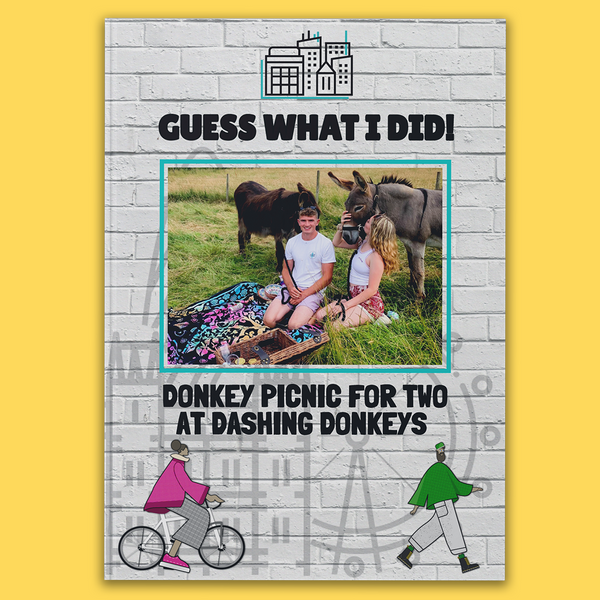 Donkey Picnic for Two at Dashing Donkeys