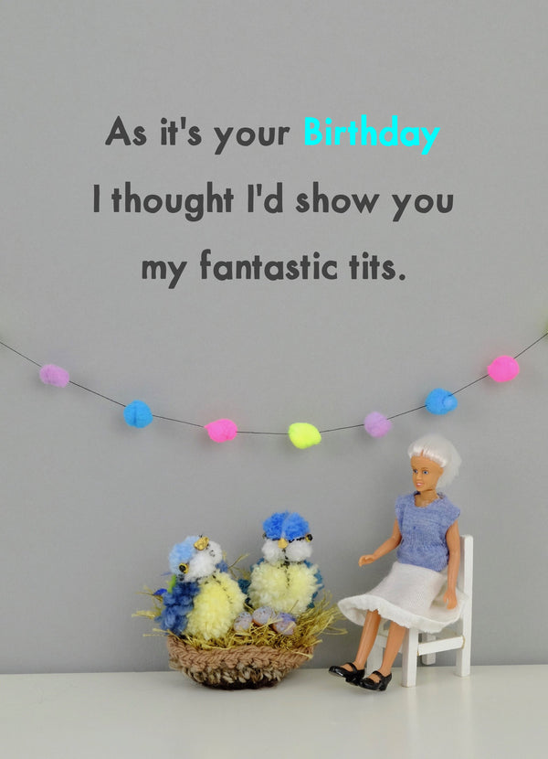 Show You My Fantastic Tits Birthday Card