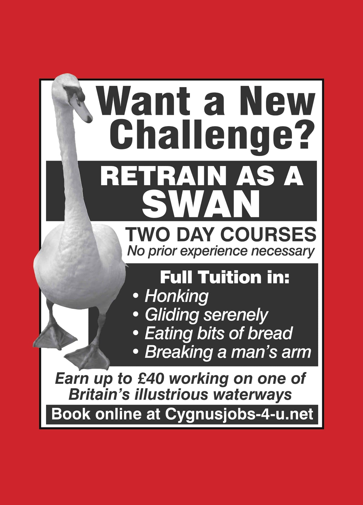 Retrain As A Swan Card