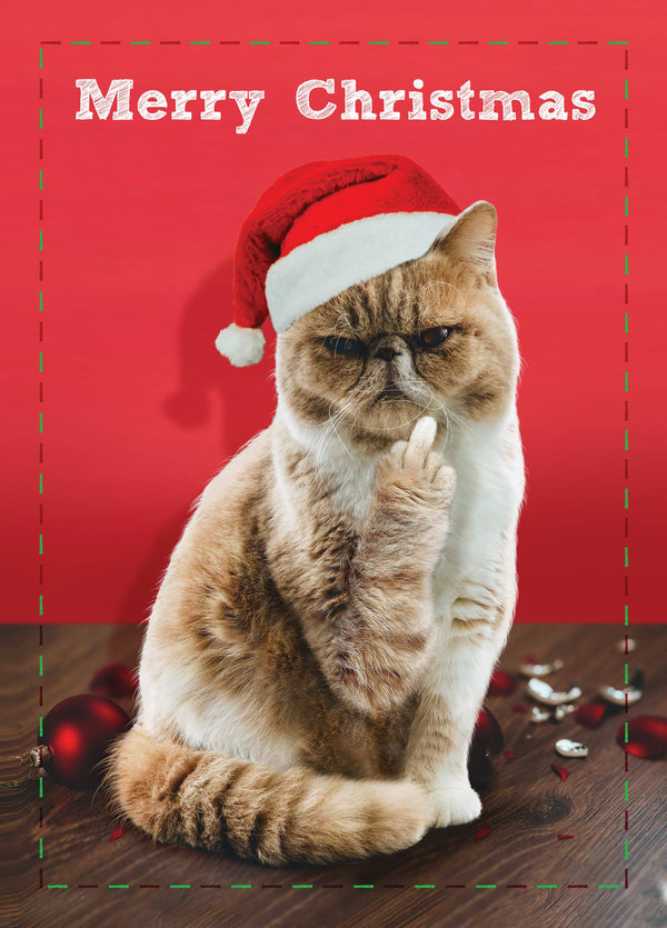Merry Christmas Middle Finger Cat Card