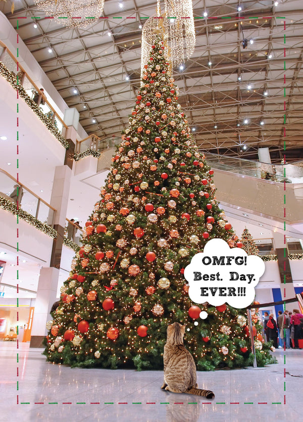 OMFG! Best Day EVER!!! Card