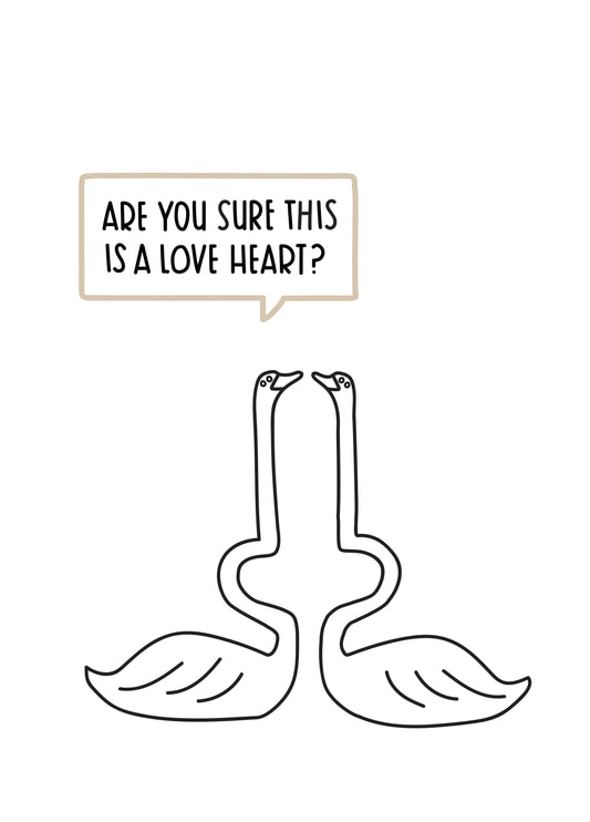The Swans Card