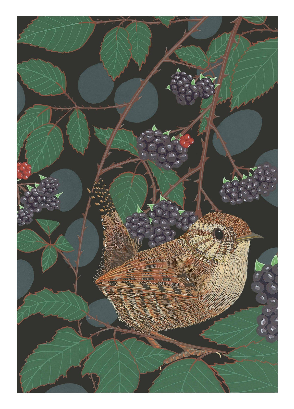 Wren Card