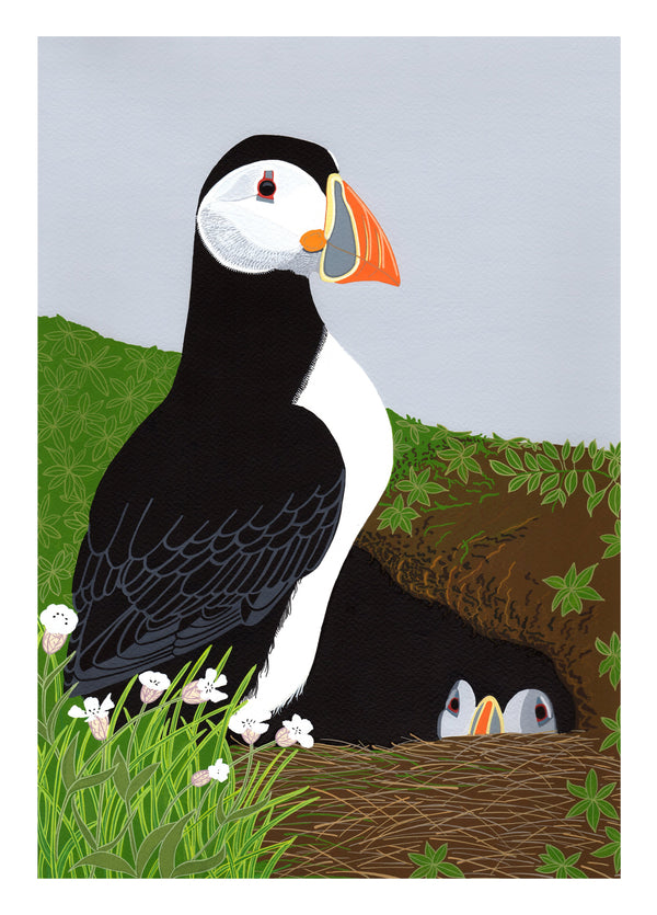 Puffin Burrow Card