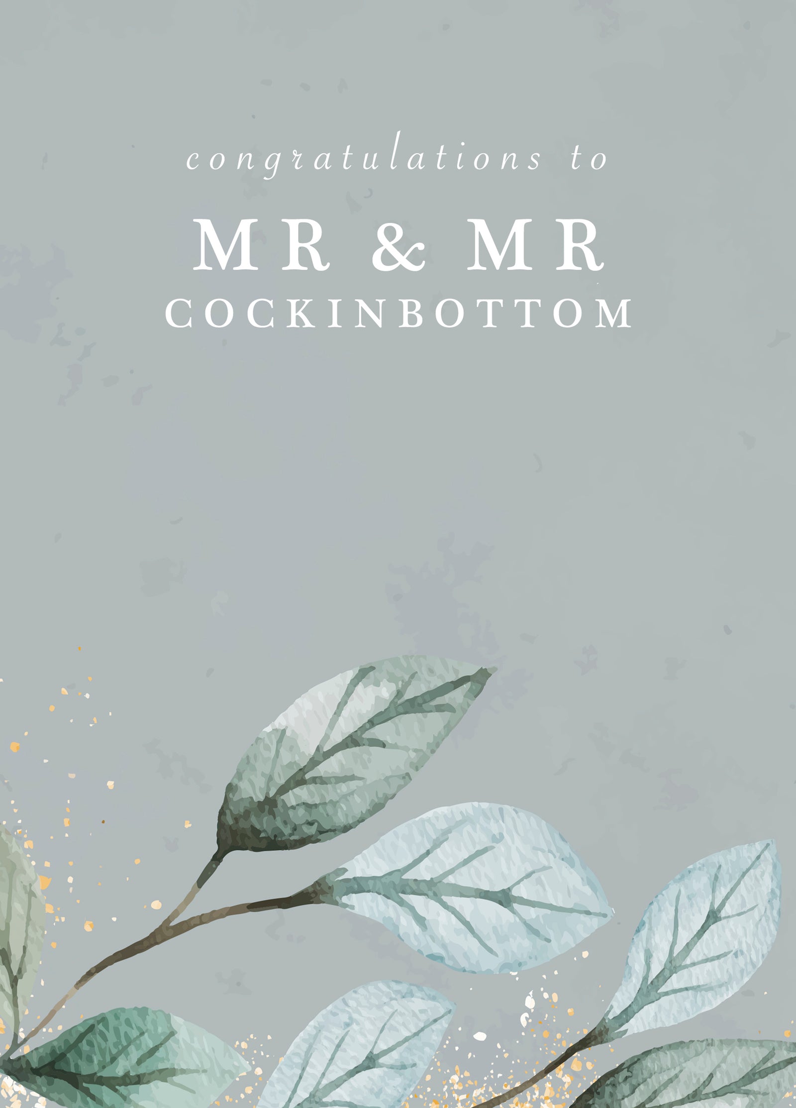 Funny Wedding Card - 'Mr & Mr'