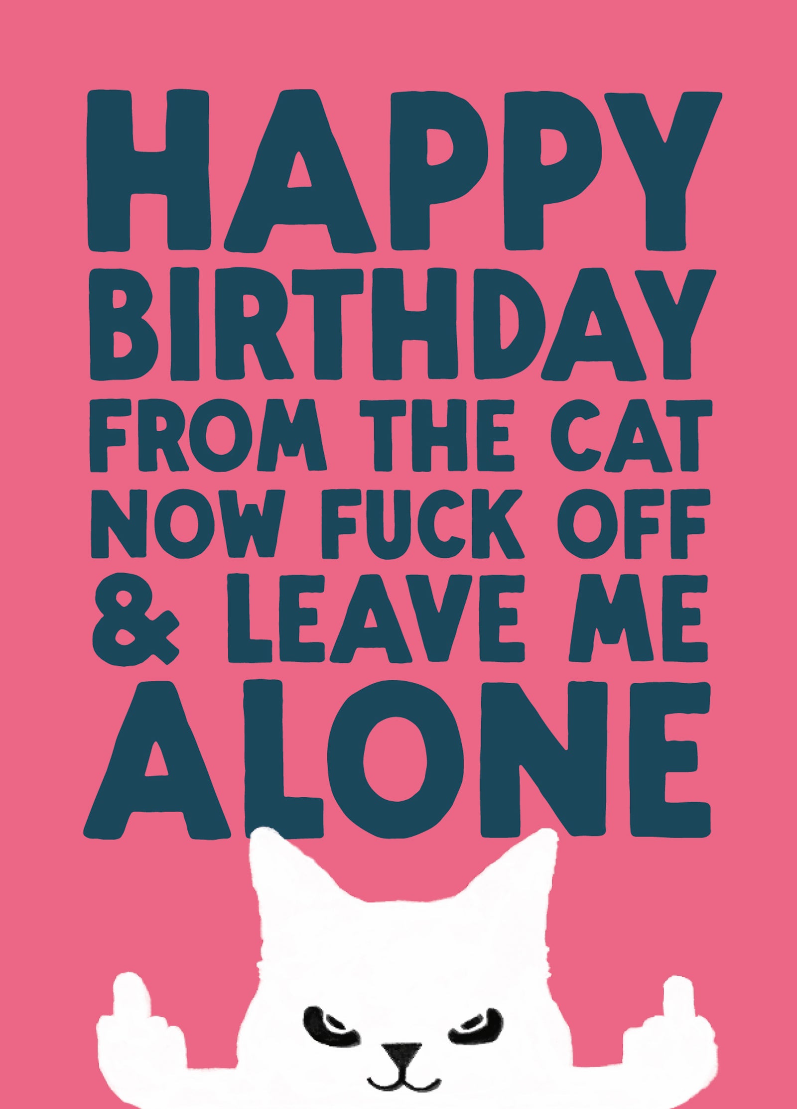 Funny Birthday Card From The Cat - 'Leave Me Alone'