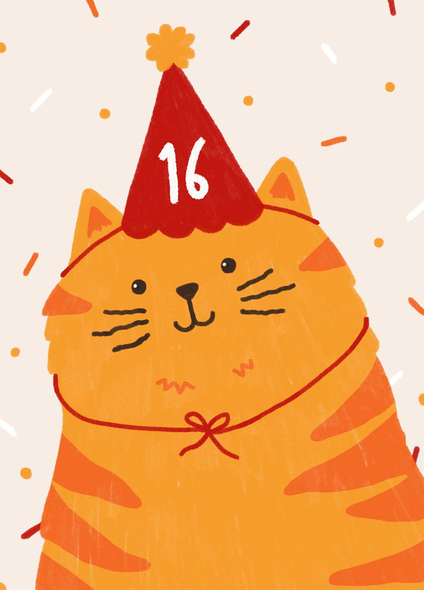 Birthday Hat Party Cat | Milestone Age 16