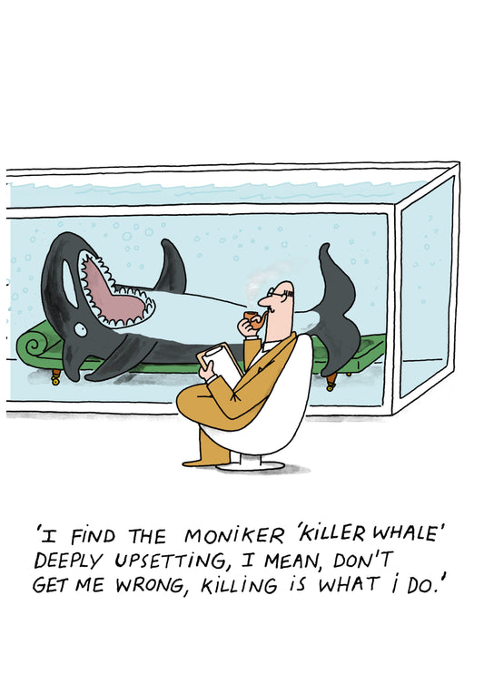 Killer Whale Card