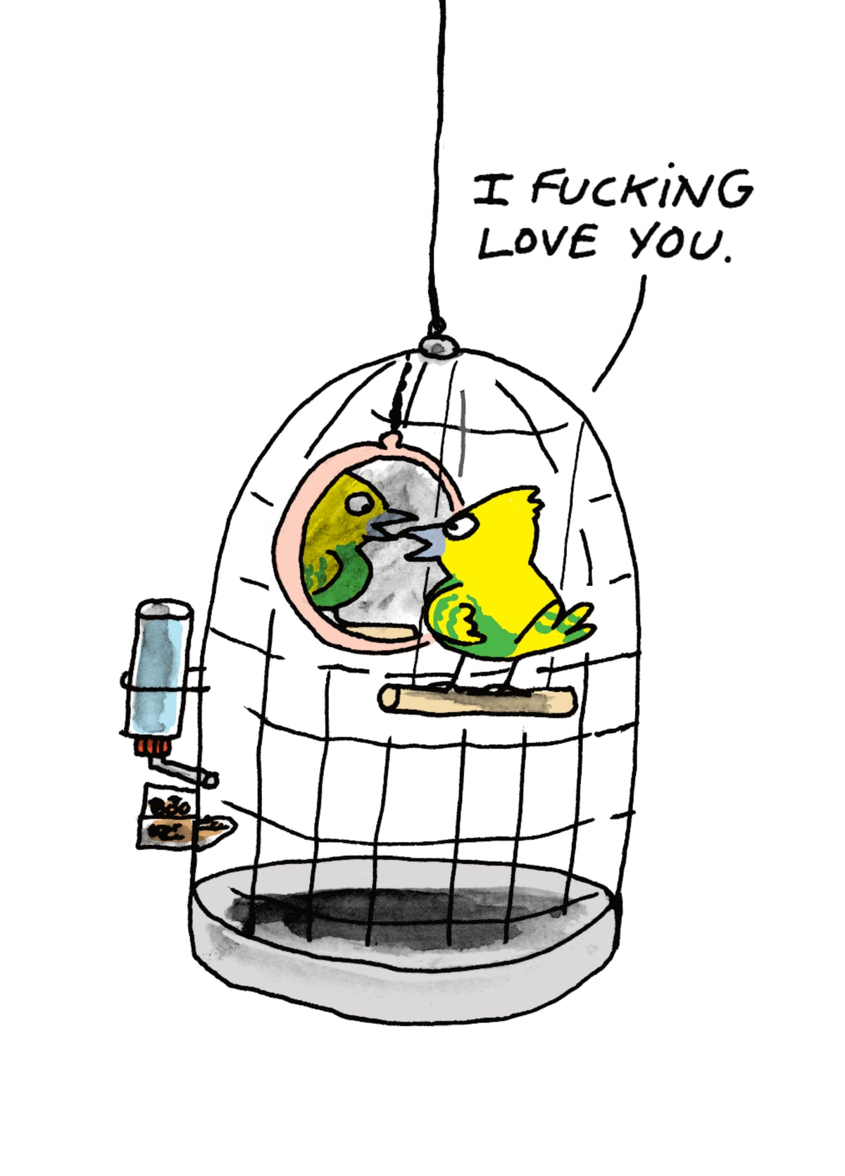 Budgie Mirror