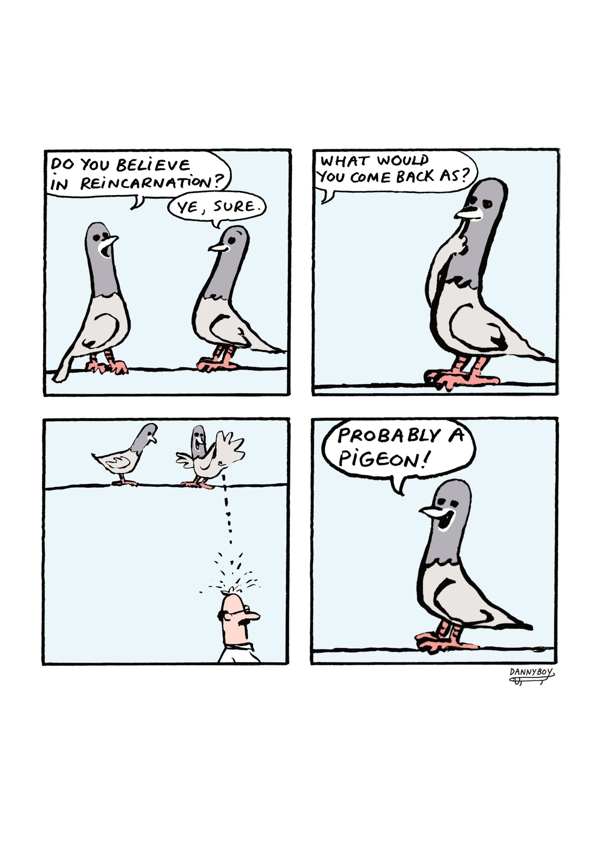 Pigeon!