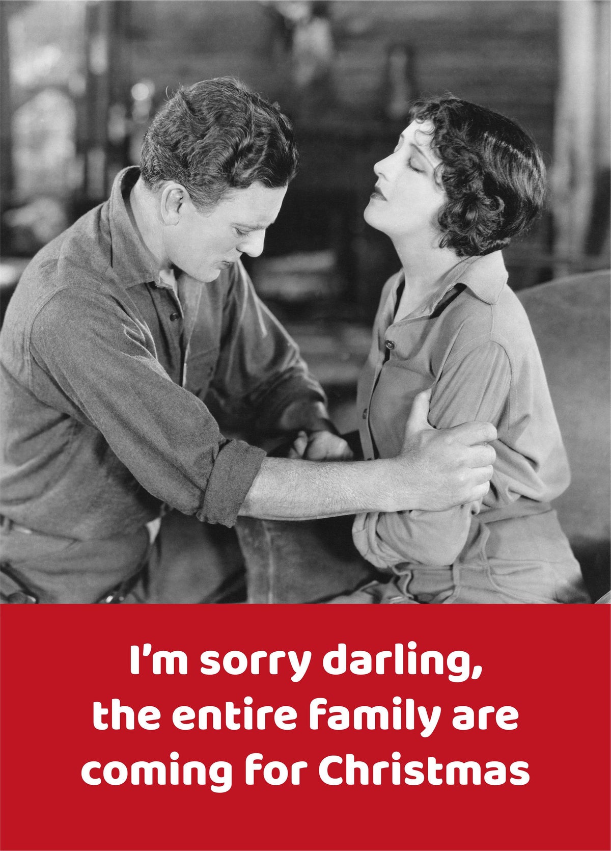 Entire Family For Christmas Card