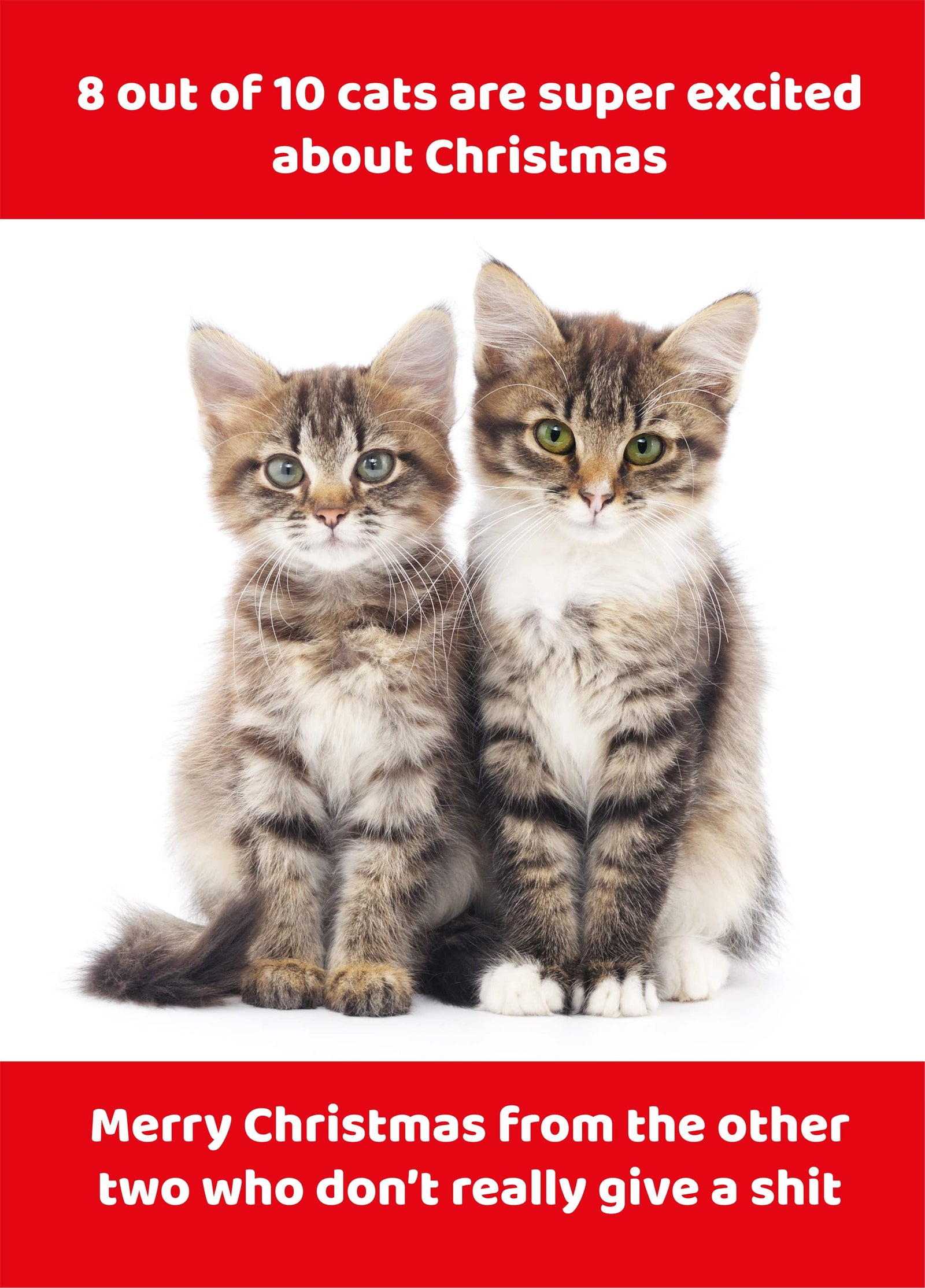 8 Out Of 10 Christmas Cats Card