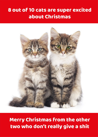 8 Out Of 10 Christmas Cats Card