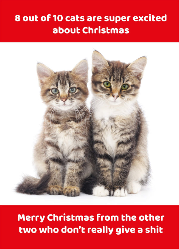 8 Out Of 10 Christmas Cats Card