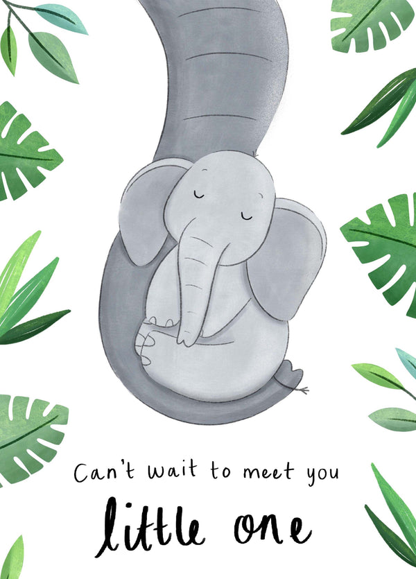 Can Wait To Meet You Little One Card