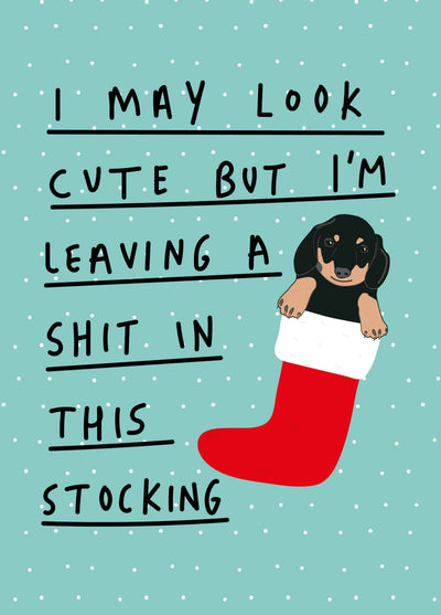 May Look Cute Card