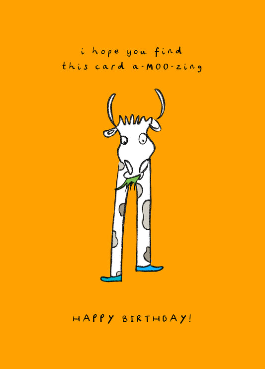 A-moo-zing