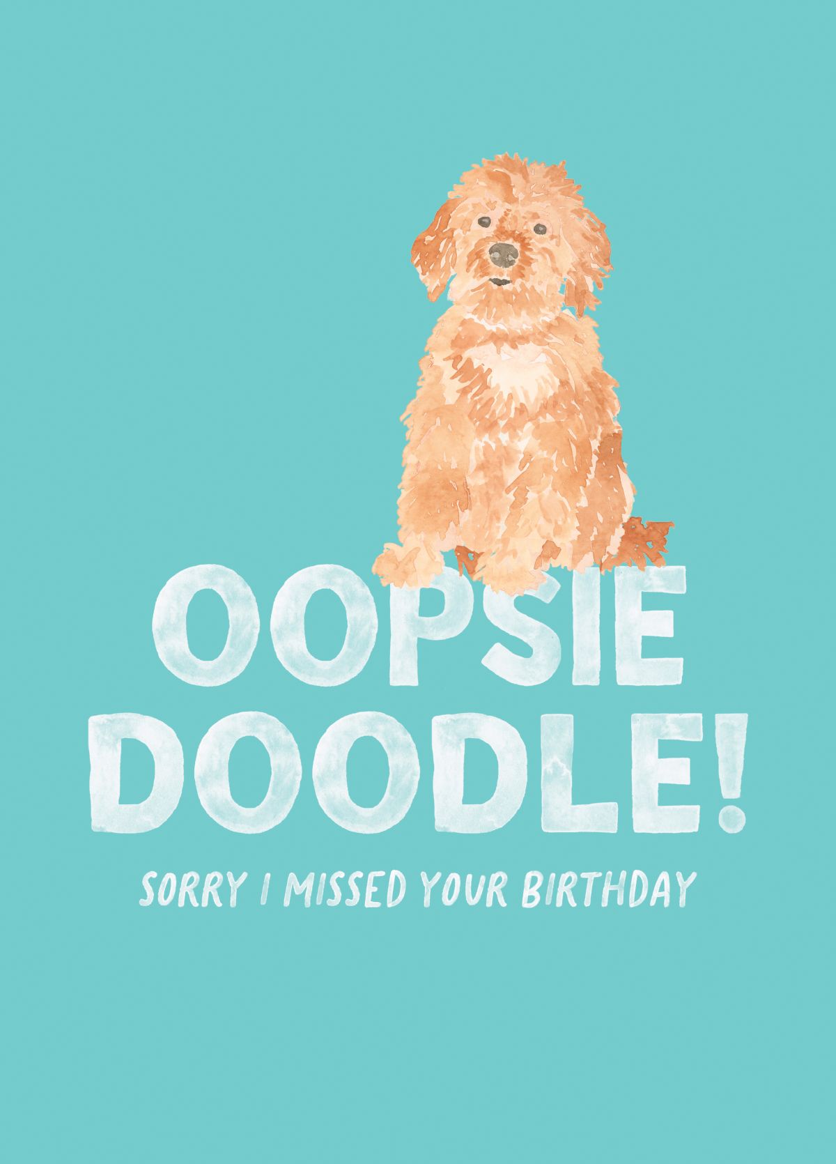 Oopsie Doodle I Missed Your Birthday