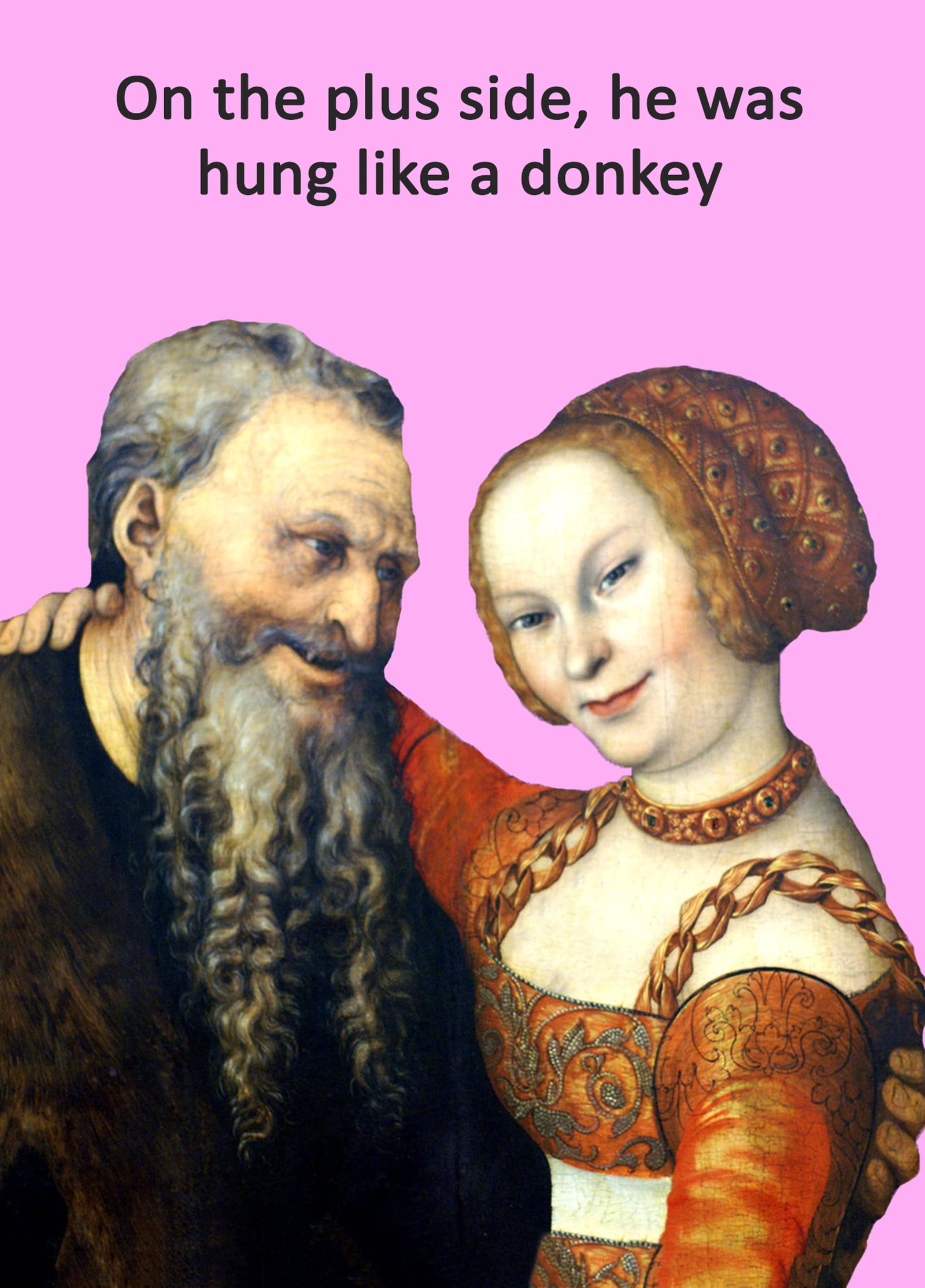 Hung Like A Donkey Card