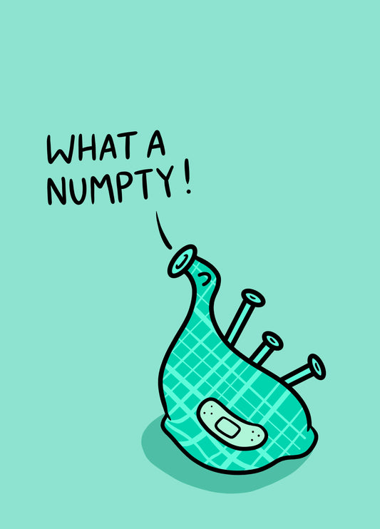 What A Numpty!