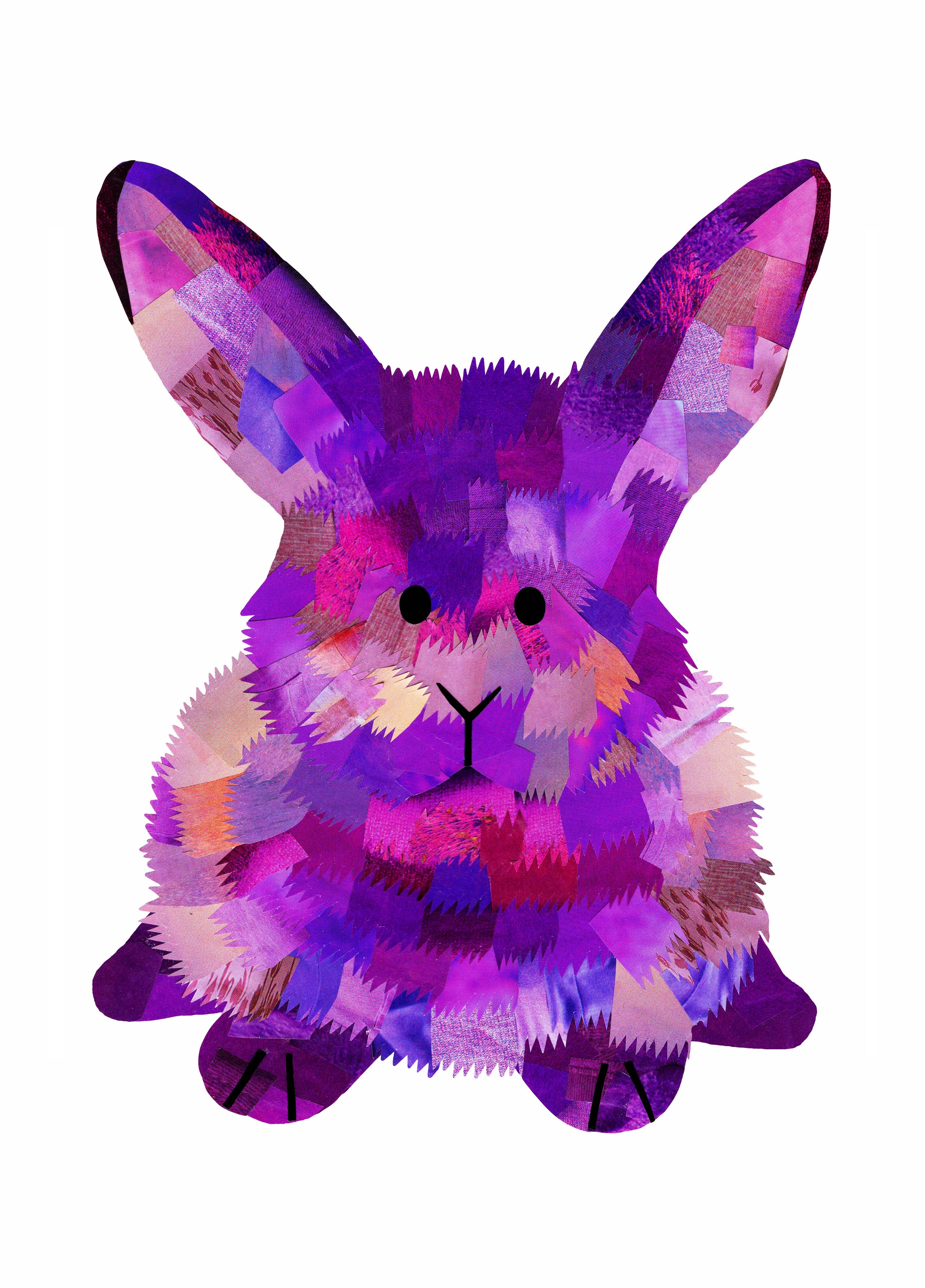 Purple Rabbit Card – Scribbler Cards & Gifts