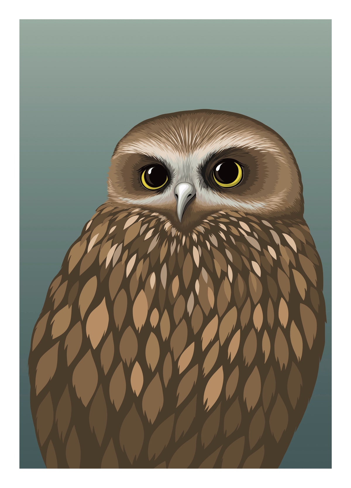 Little Morepork Card