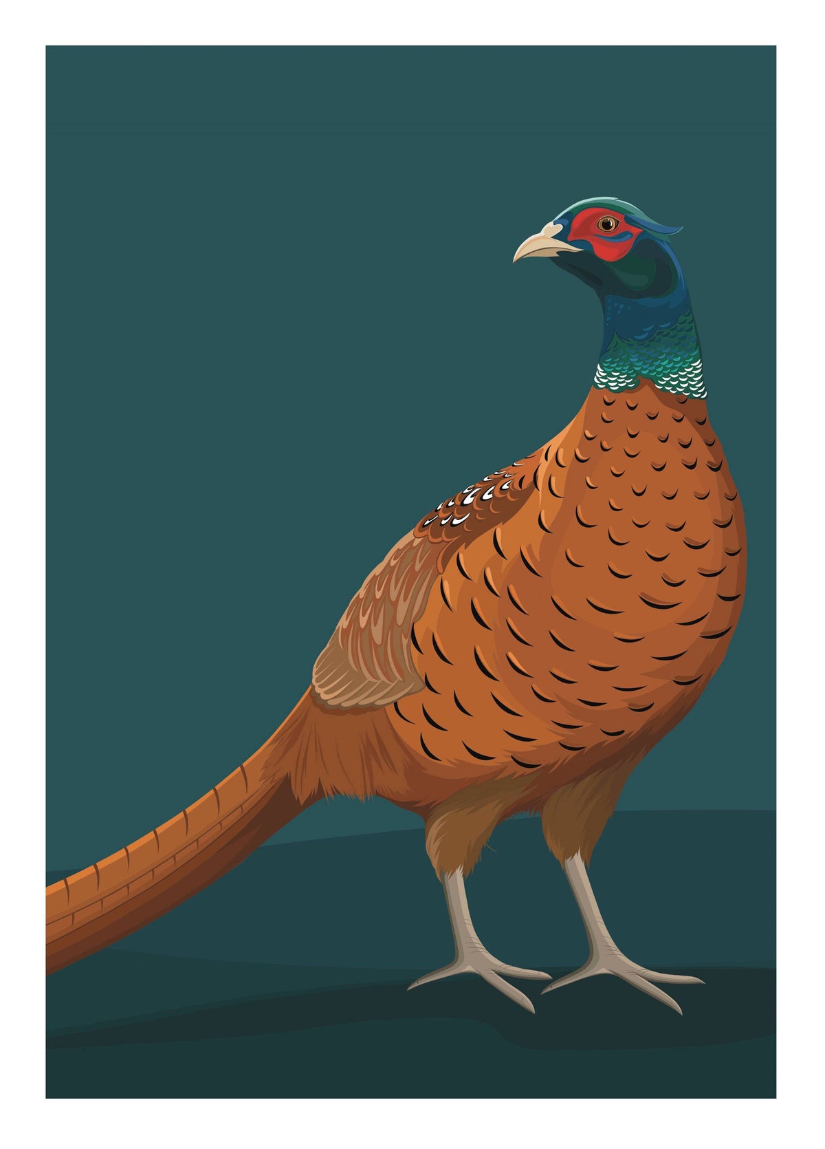 Fancy Pheasant Card